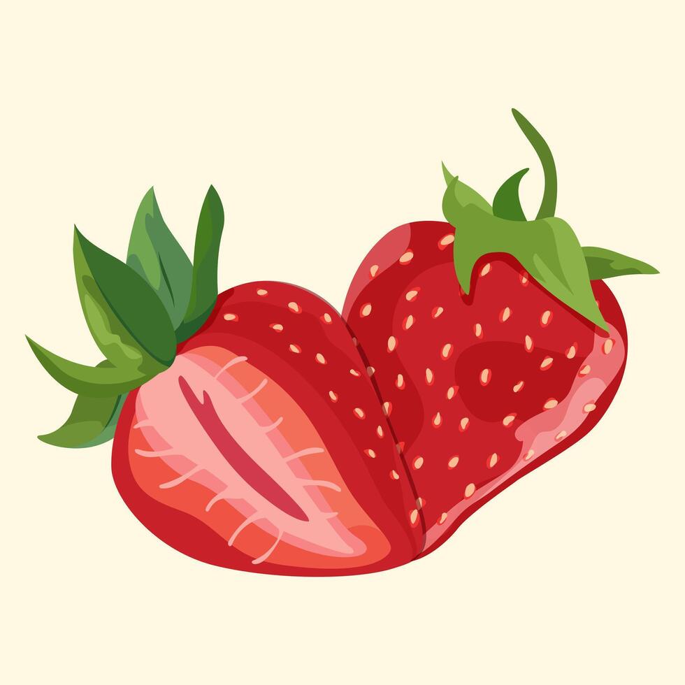 Bright natural strawberries on isolated light coloured background. Whole and half strawberries. illustration of fresh organic berries used for magazines, books, posters, menu covers, web pages vector