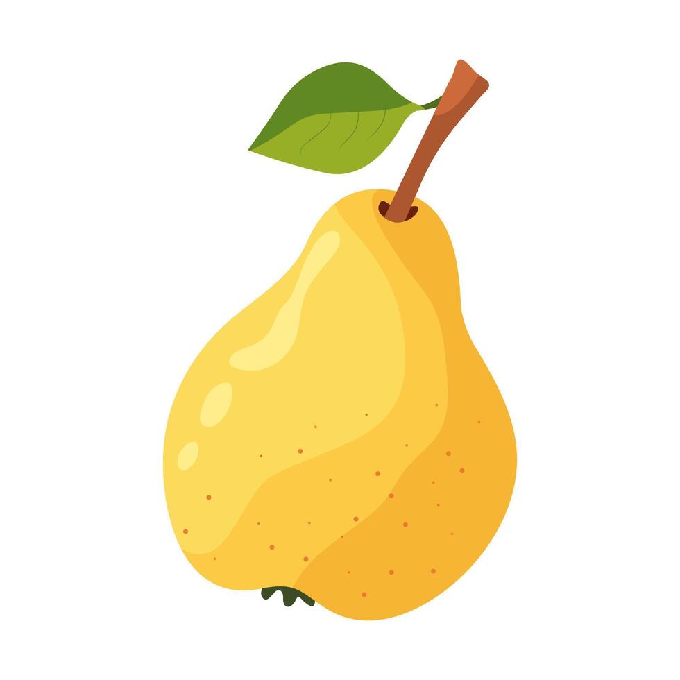 Pear ripe, juicy in . Whole yellow fruit. Isolated on white background vector