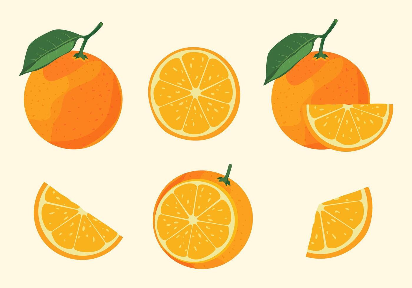 Orange Fruit. Set with whole fruit and half, quarter , with and without leaves. illustration in flat style on isolated background. vector