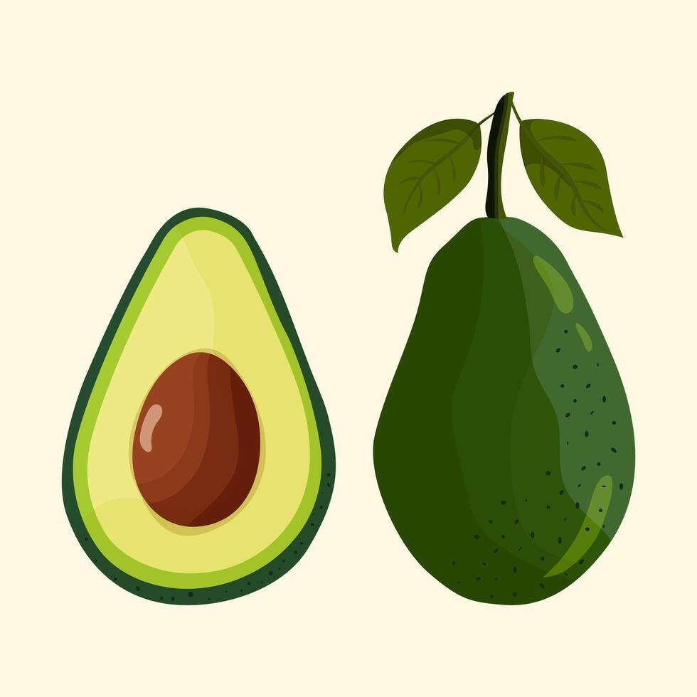 Avocado fruit whole with green leaves and half with seeds. image isolated on light background vector