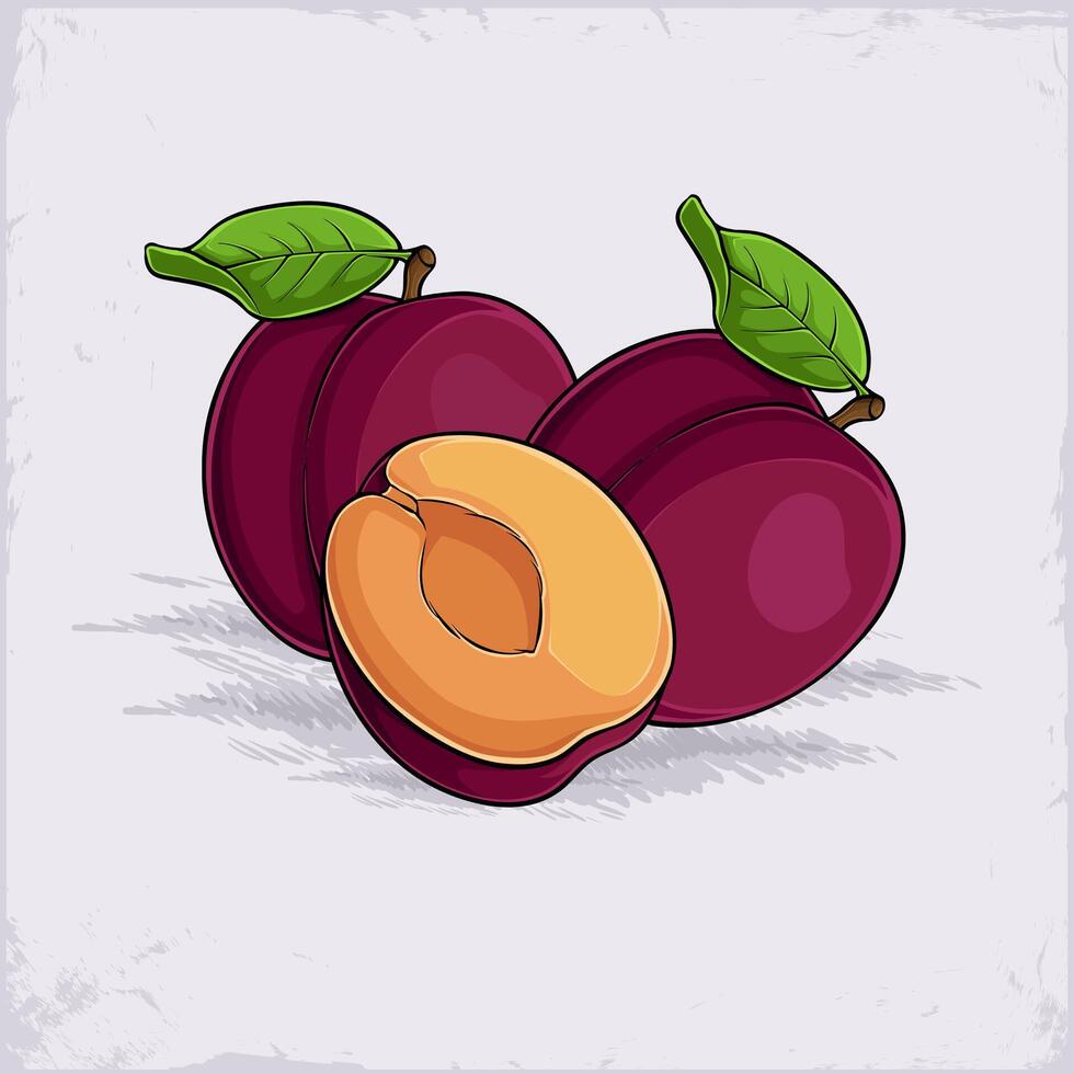 Hand drawn set of full and half cut juicy fresh brownish gray purple plums, rich in antioxidants vector