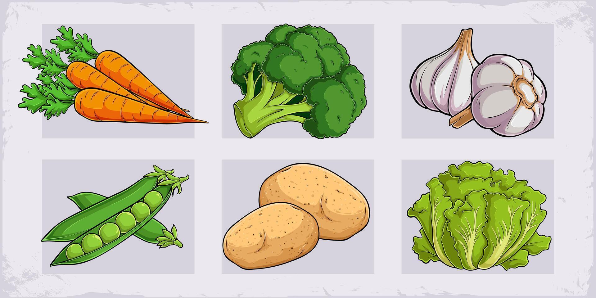Hand drawn set of healthy organic vegetables carrots, broccoli, garlic, potato, lettuce, pea pods vector