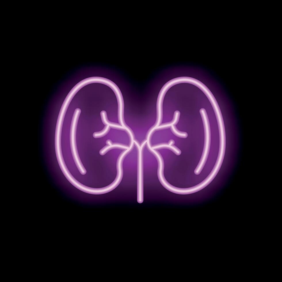 Neon style icon of human kidneys glowing on black background vector