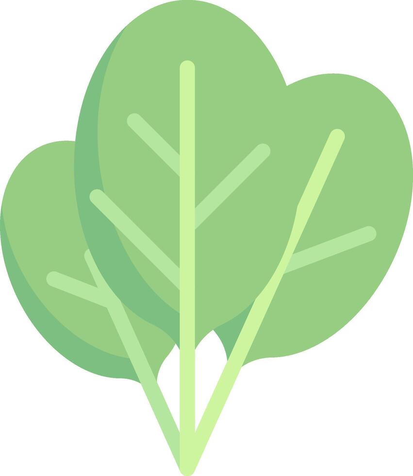 A green leaf on a white background vector