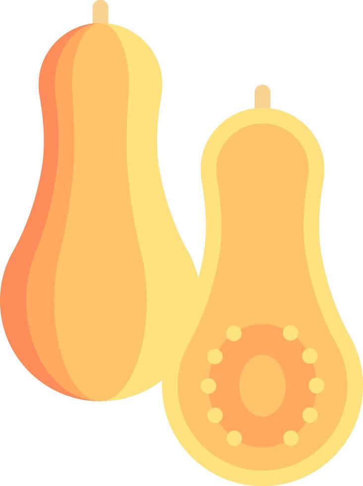 Butternut squash illustration design vector