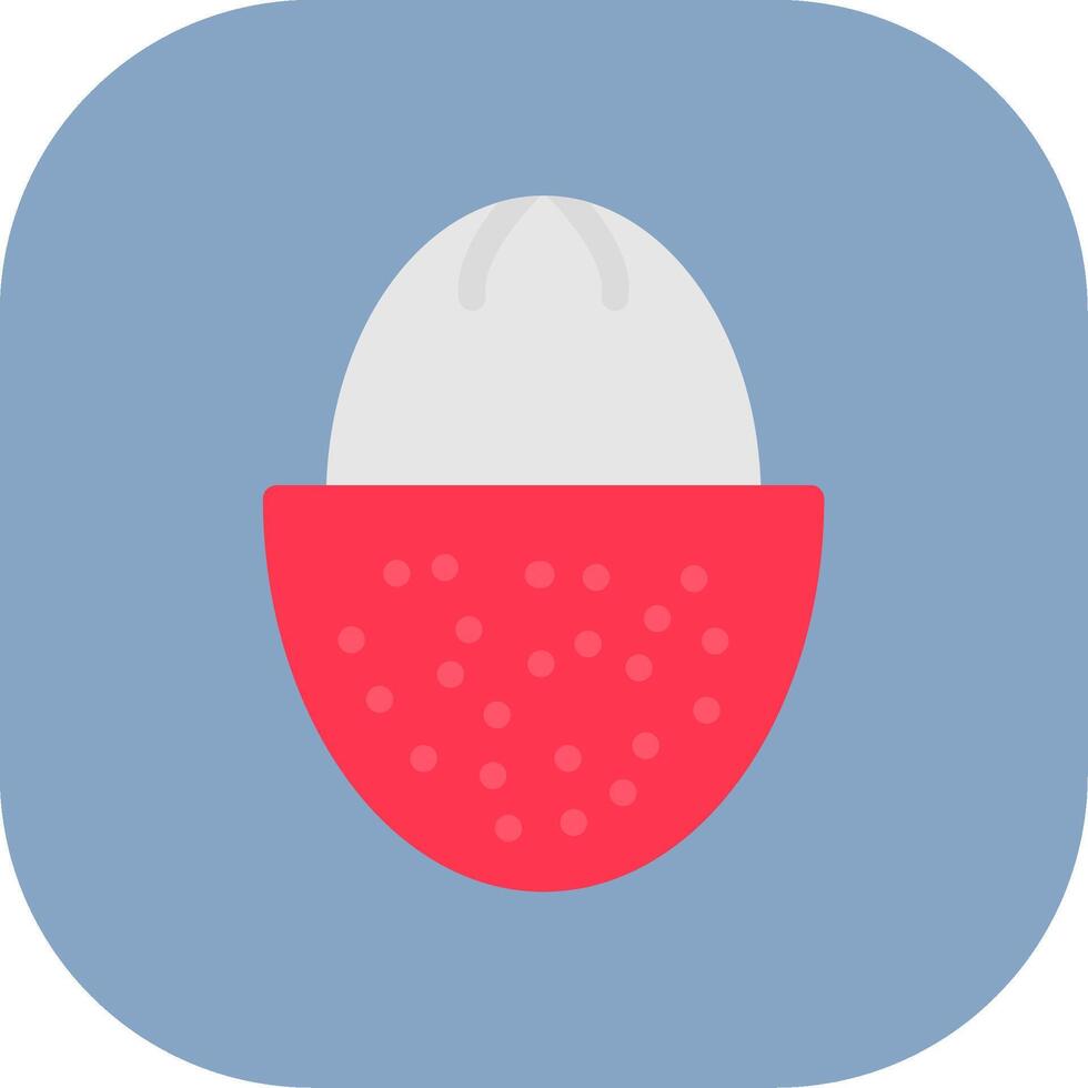 Lychee Colorful Icon vector
