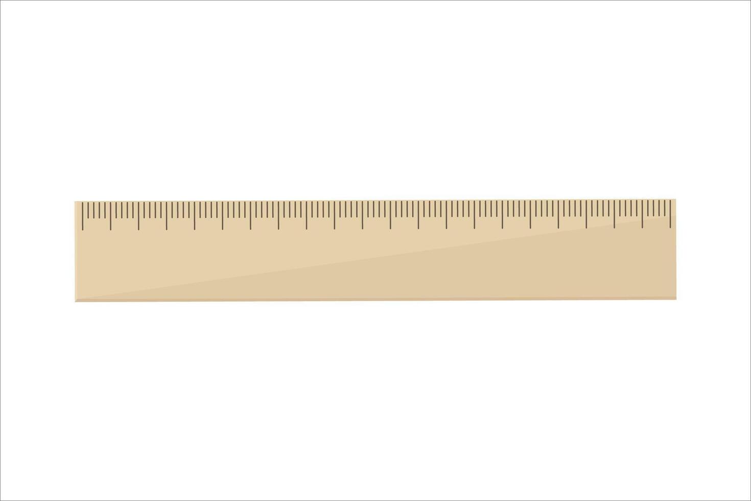 School wooden ruler on isolated background. vector