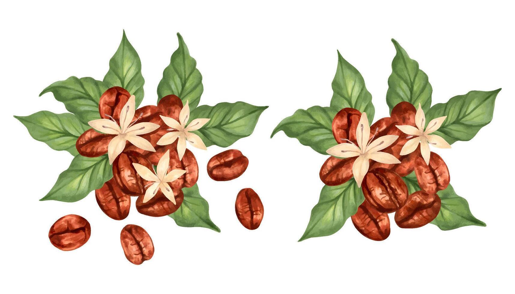 Composition of coffee beans with leaves and flowers. Coffee day. Illustration with watercolor and marker. Collection of Robusta and Arabica varieties. Hand drawn isolated art. Production, harvesting vector