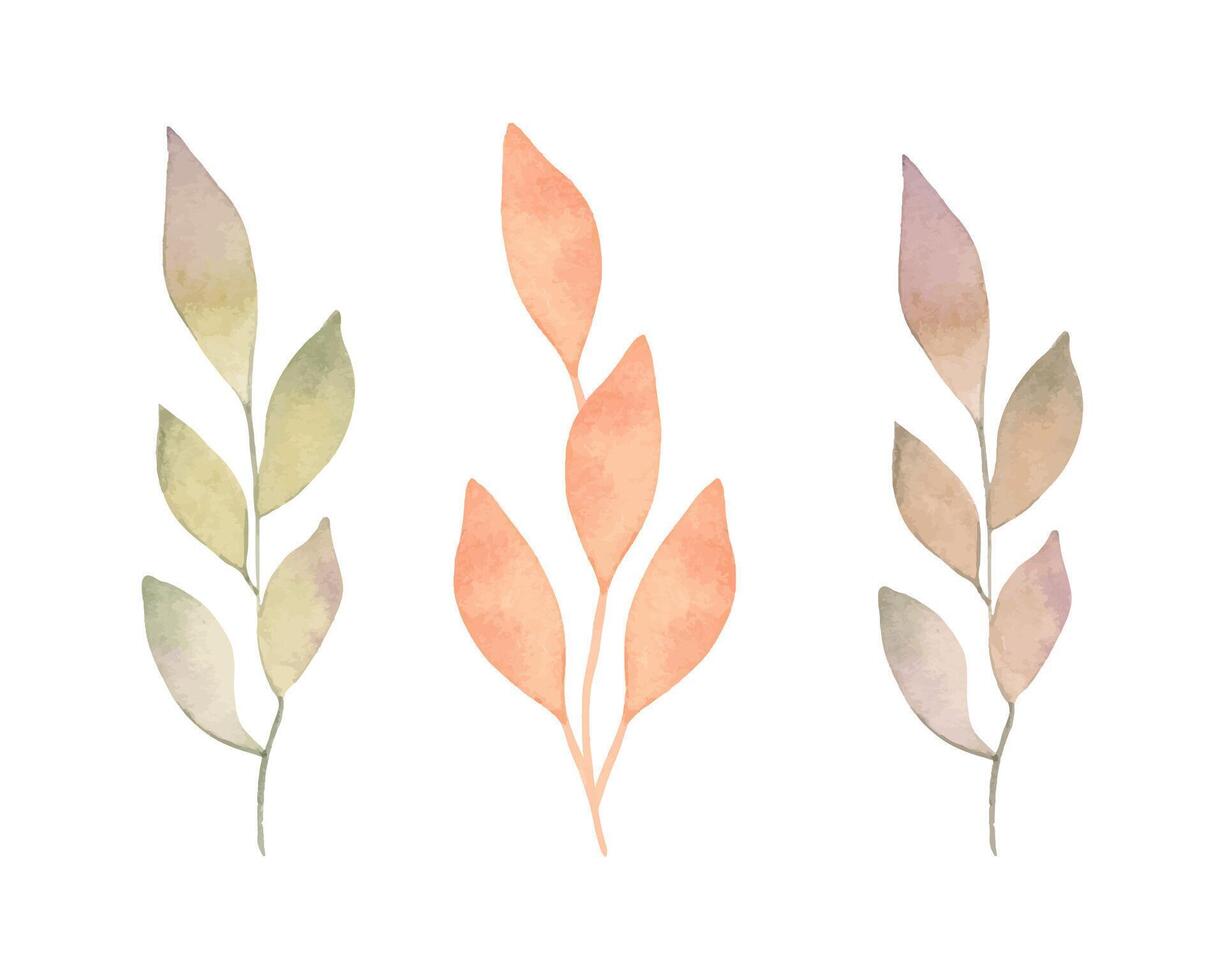 Branches with leaves, made in watercolor technique. Botanical clipart in autumn pastel colors. Hand drawn isolated art. Floral and plant art. Illustration for seasonal cards, packaging, holidays vector