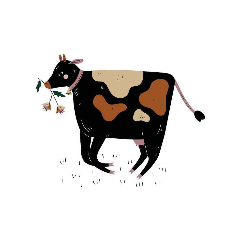 Black Spotted Cow Chewing Grass, Dairy Cattle Animal Husbandry Breeding Illustration vector