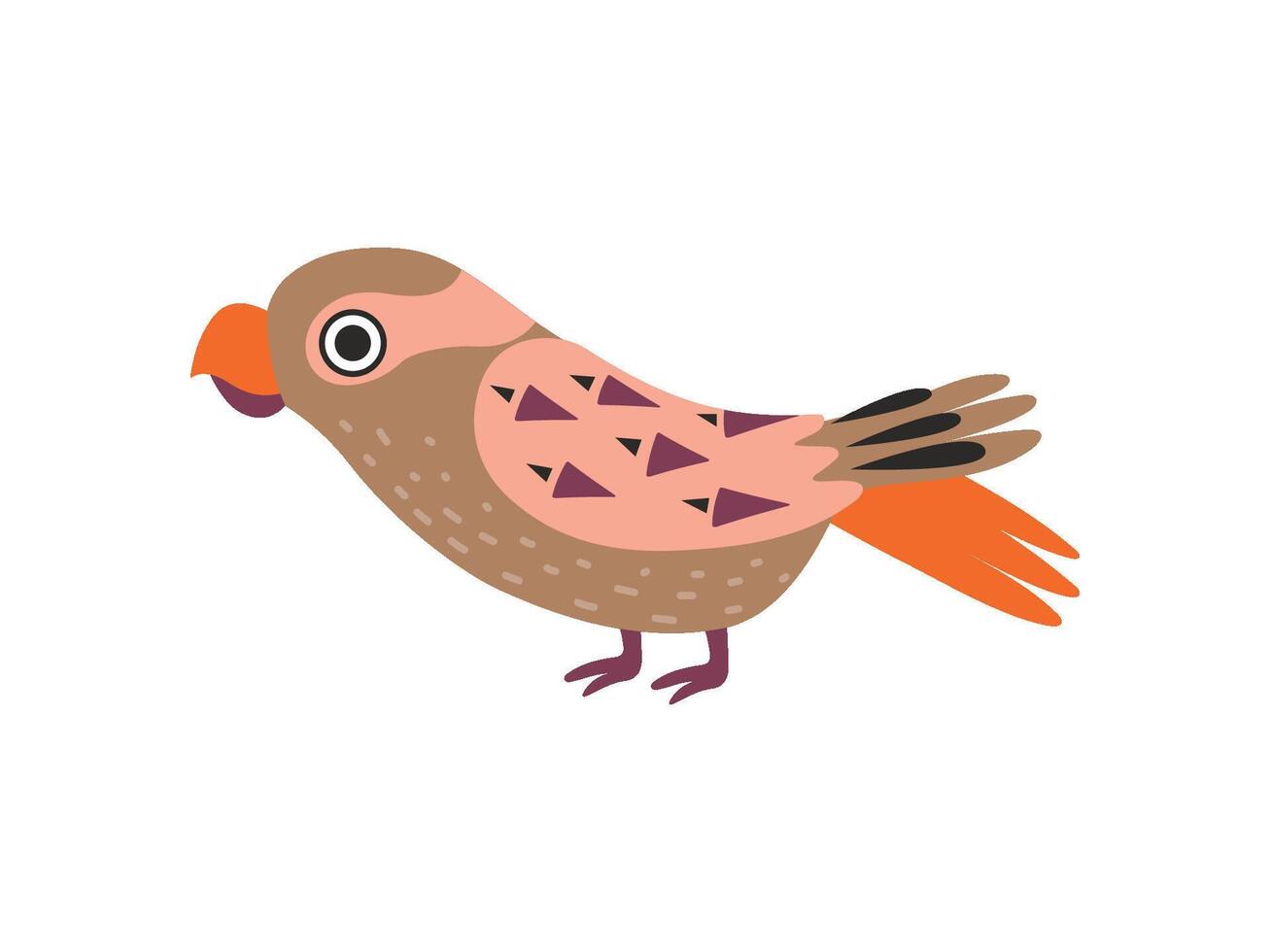 Parrot Bird with Colored Feathers and Wings Illustration vector