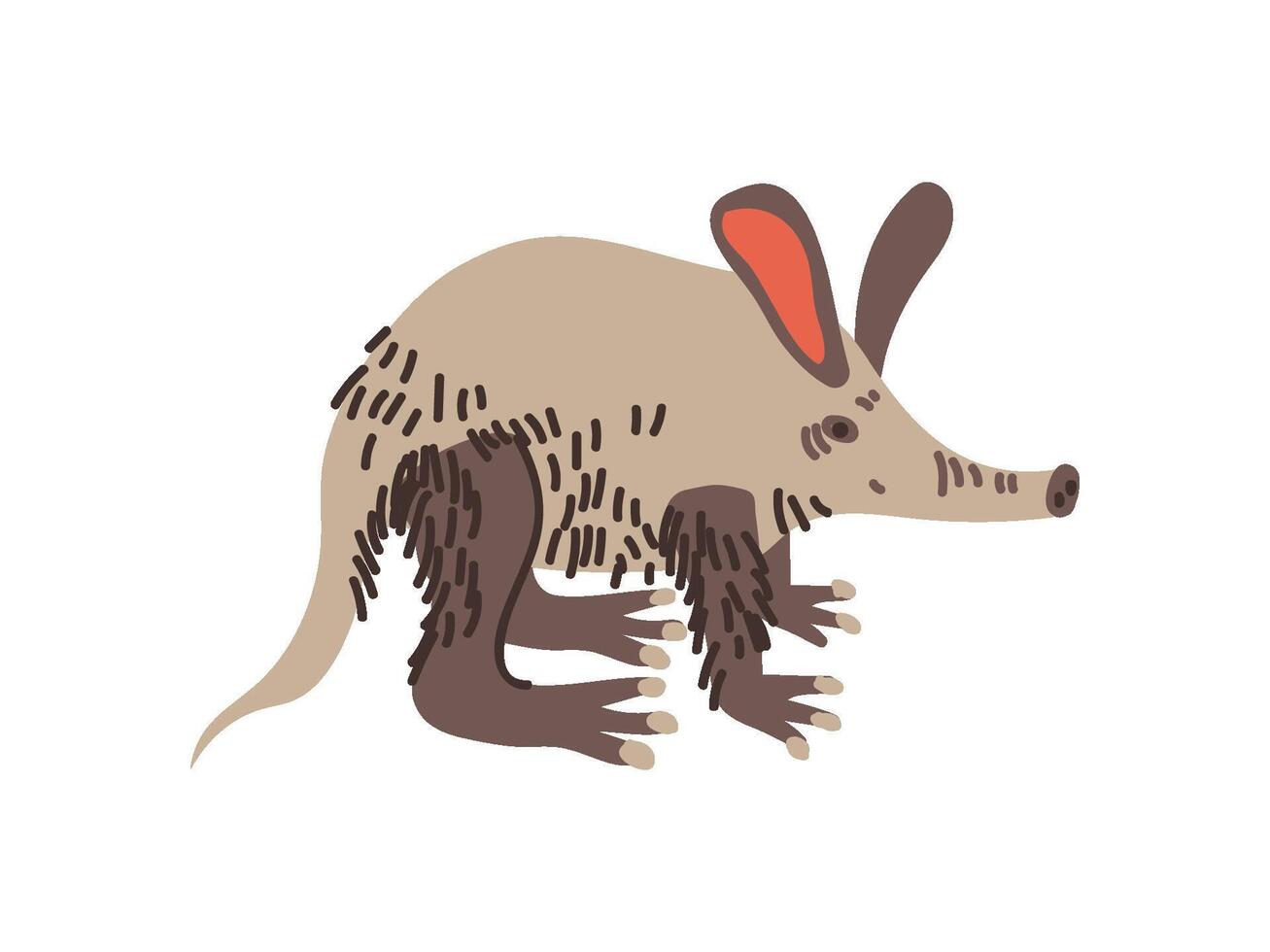Aardvark Wild Exotic African Animal Illustration vector