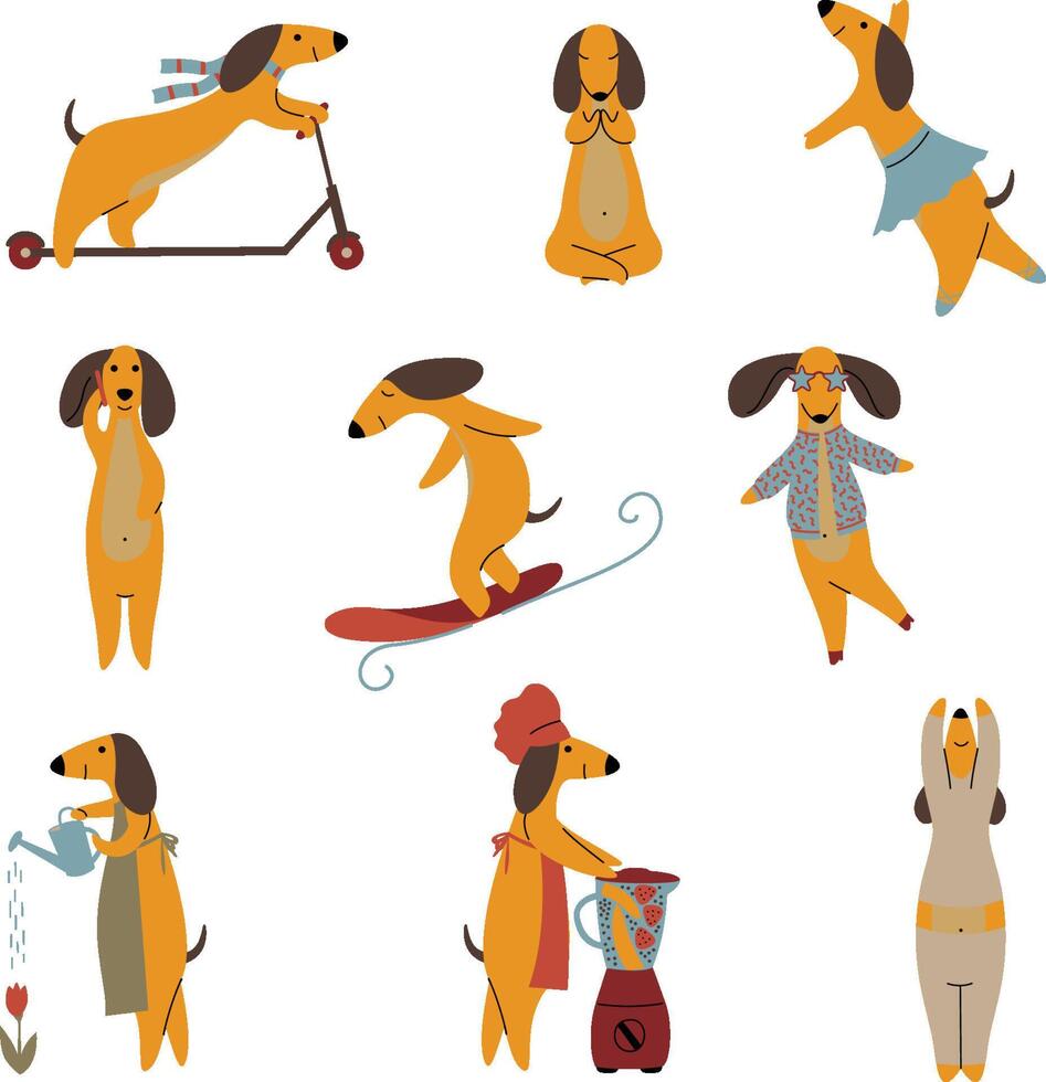 Purebred Brown Dachshund Dog Set, Funny Playful Pet Animals Cartoon Characters in Different Situations Illustration vector