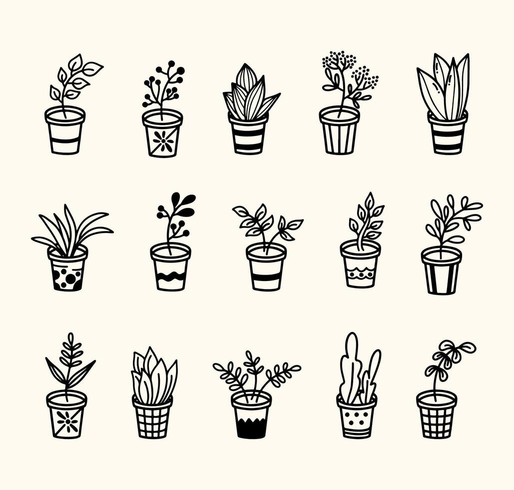 Hand drawn houseplant collection vector