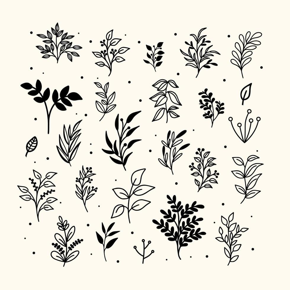 Botanical elements flowers and branch set. Line art style illustration. vector