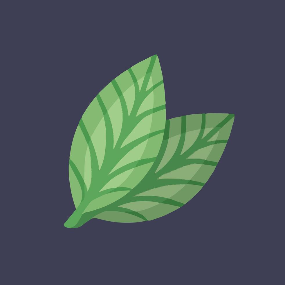 Tea leaves drawing, hand drawn illustration vector