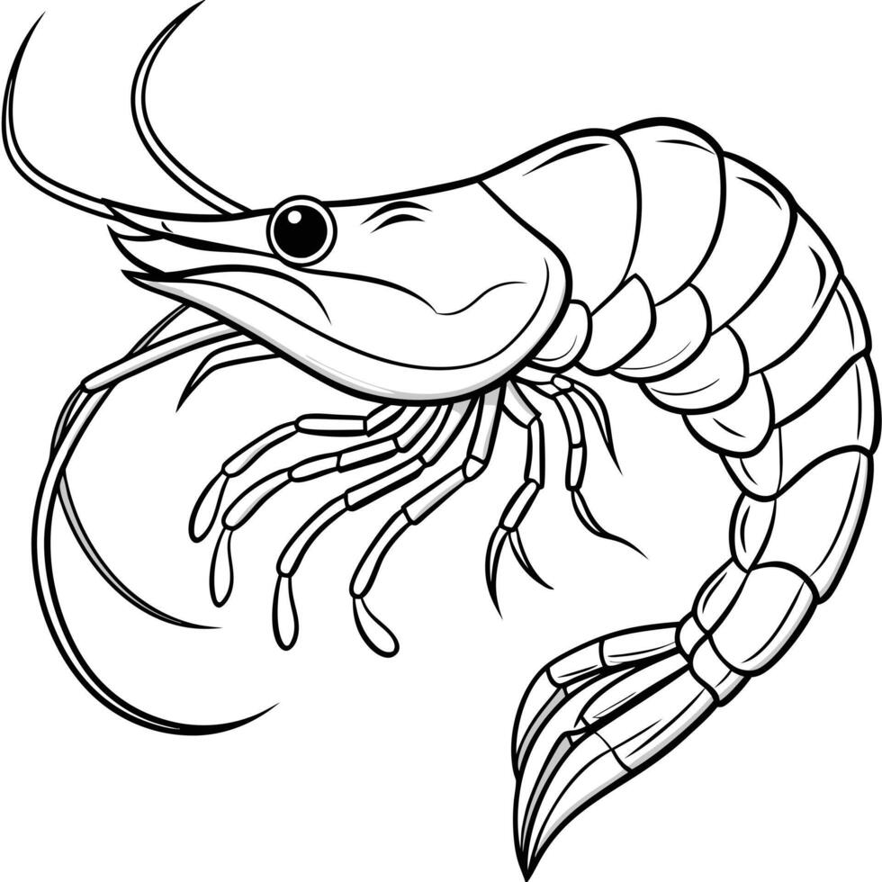shrimp white and black coloring page vector