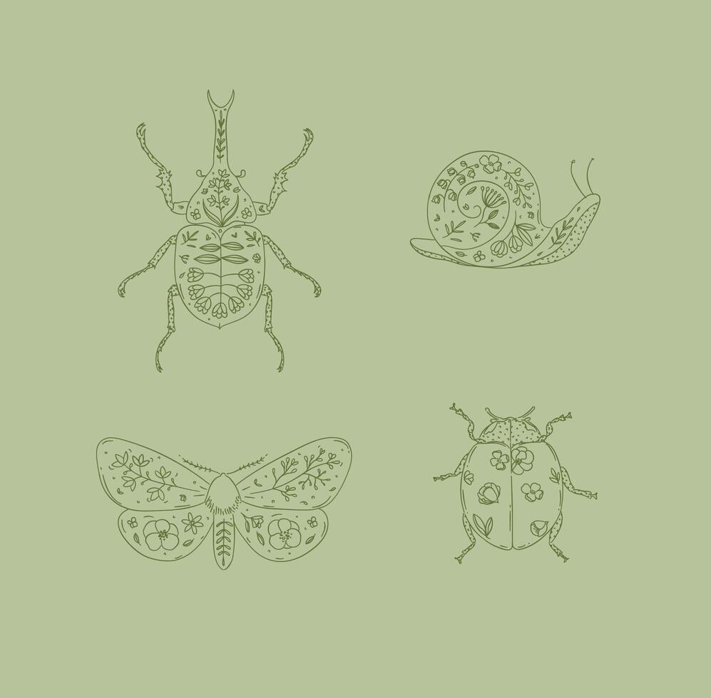 Beetles elements rhinoceros beetle, snail, moth, ladybug drawing in floral style on green background vector