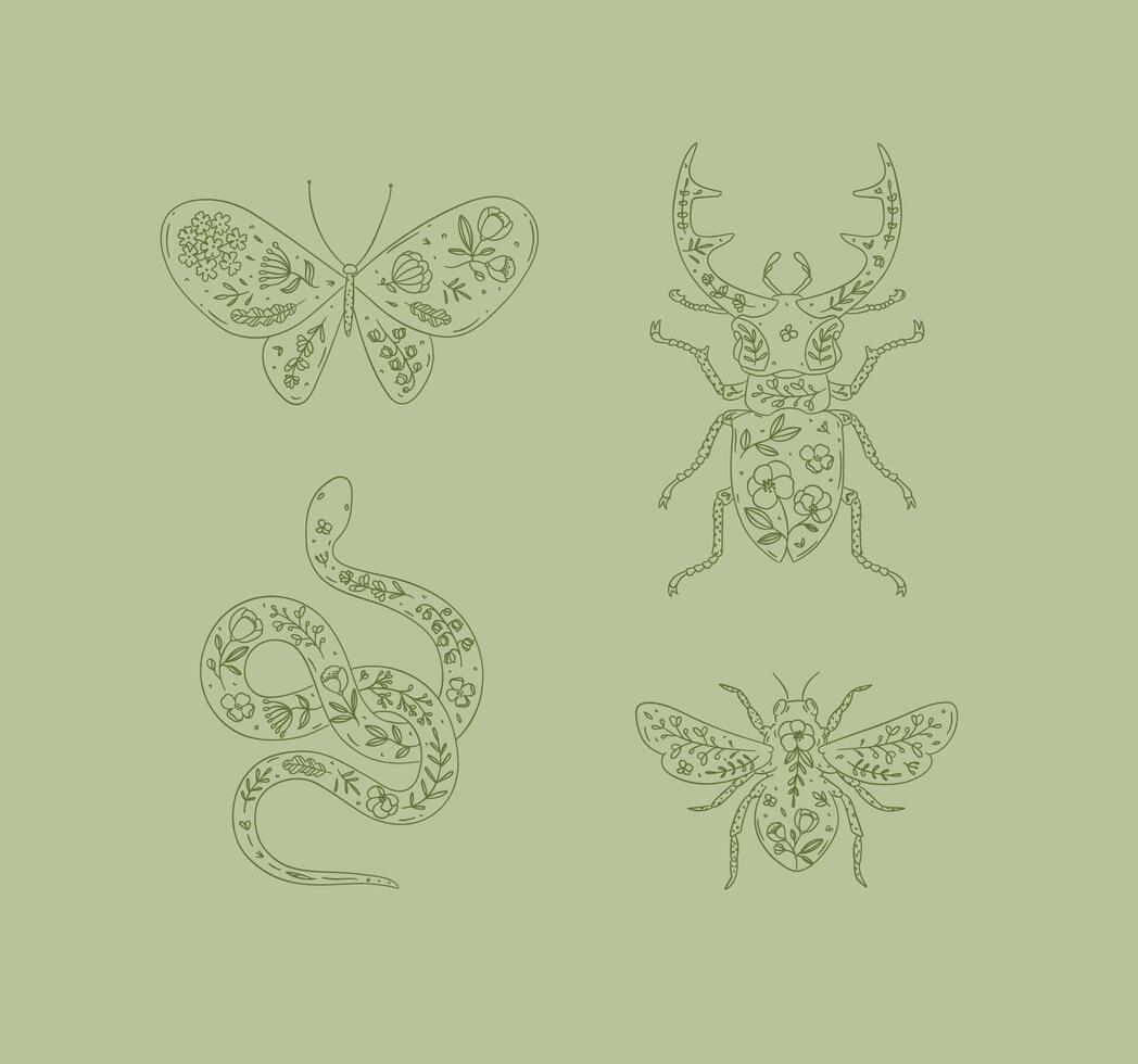 Beetles elements stag beetle, snake, moth, insect drawing in floral style on green background vector
