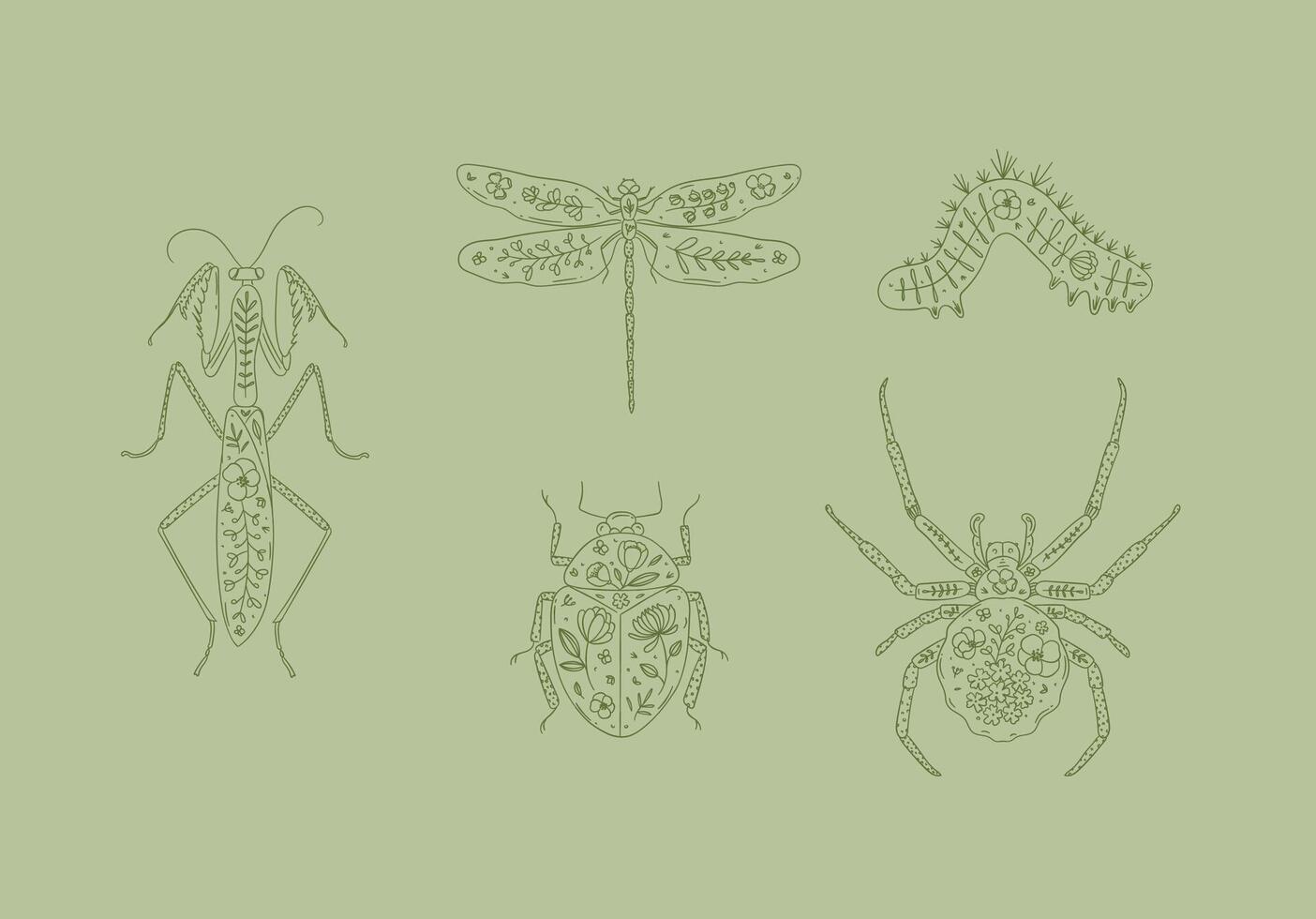 Beetles elements mantis, dragonfly, spider, caterpillar, insect drawing in floral style on green background vector