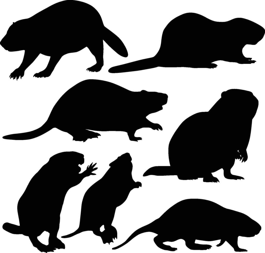 Beaver silhouettes set vector