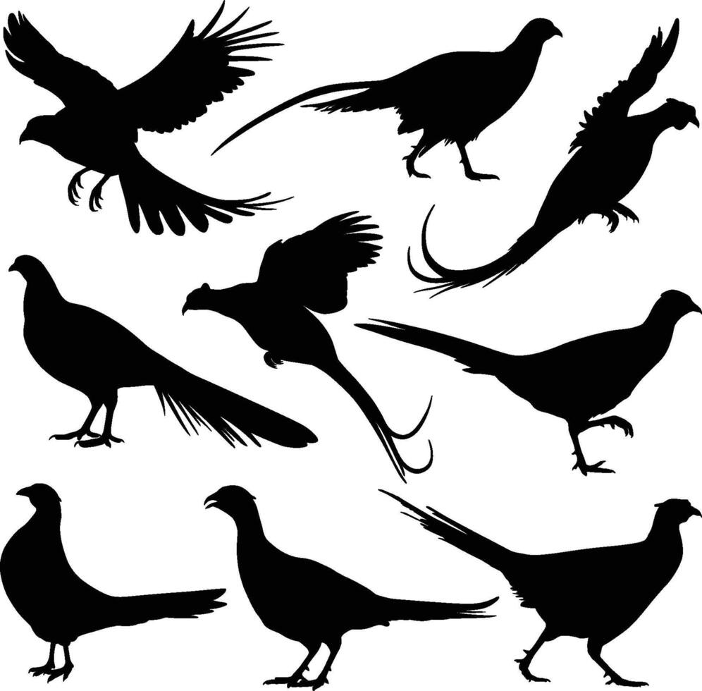 Bird pheasant silhouettes vector