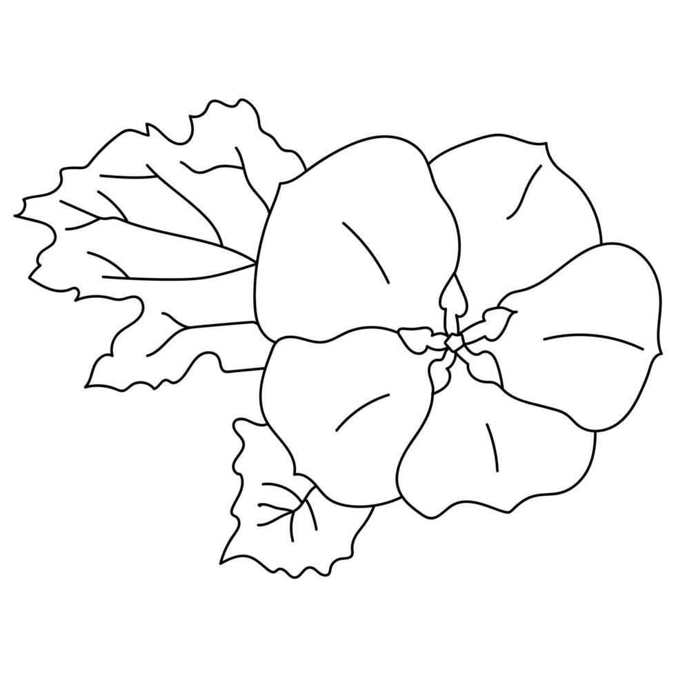Outline nicandra flower with leaves, garden nightshade plant hand drawn coloring page for creativity and kids activity vector