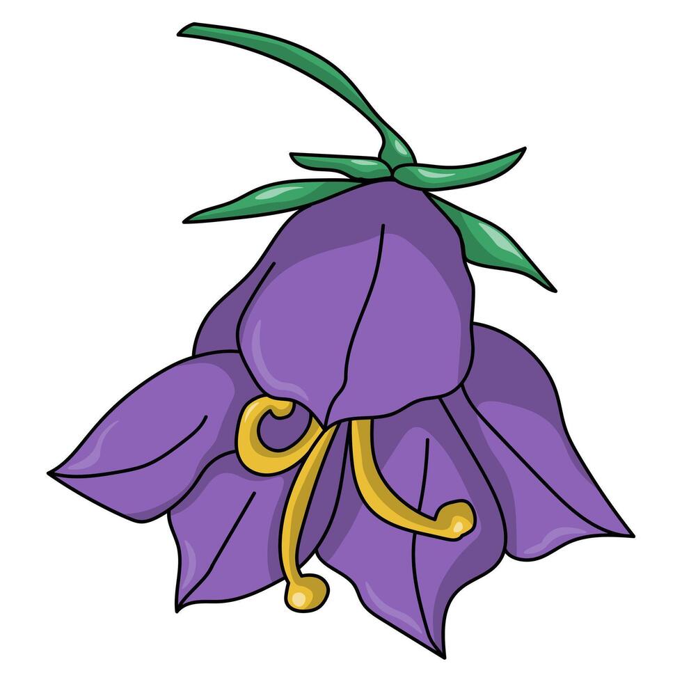 Blooming bluebell flower, delicate hand drawn plant with outline and five petals vector