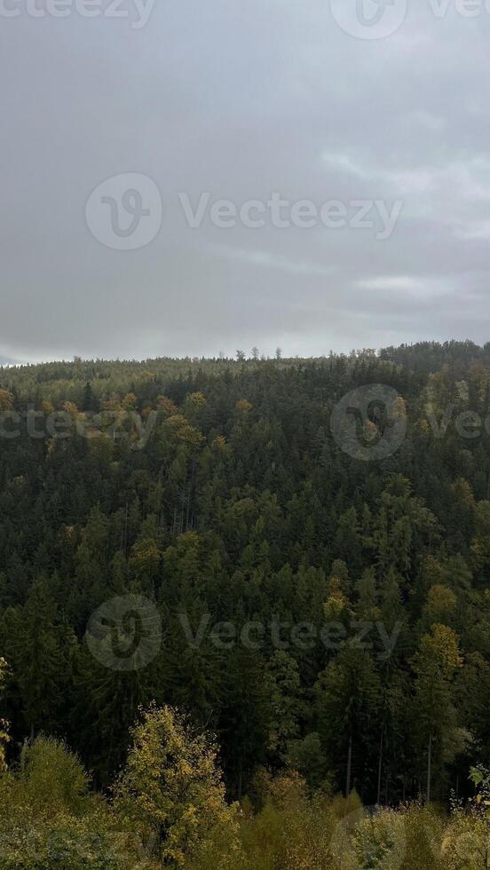View of autumn mountain forest with cloudy weather. Poland photo