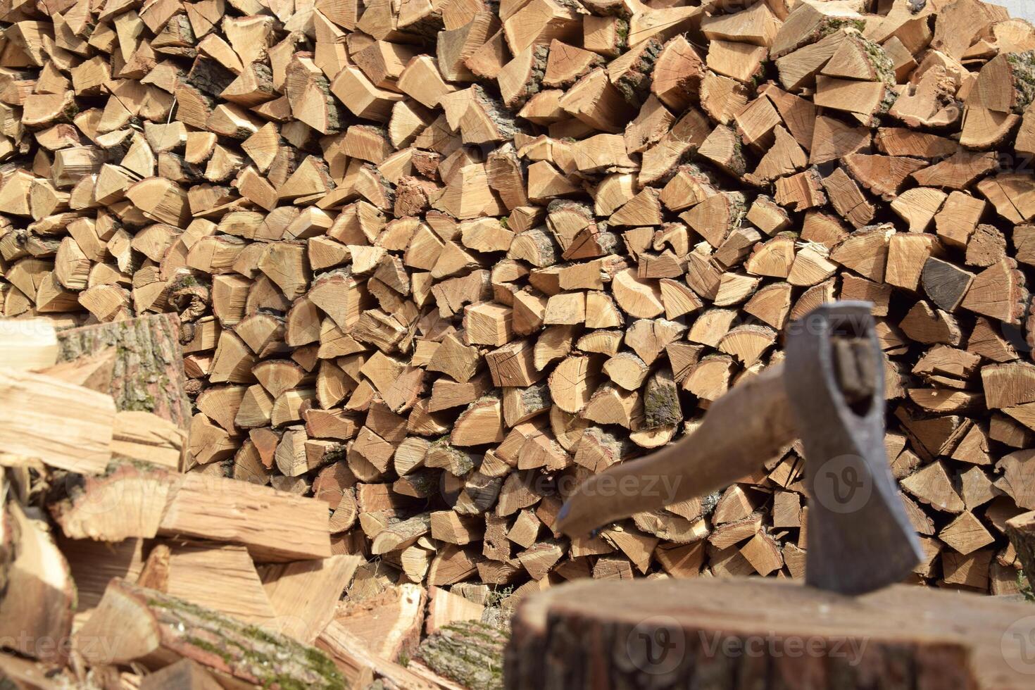 The chopped tree was piled in a pile. photo