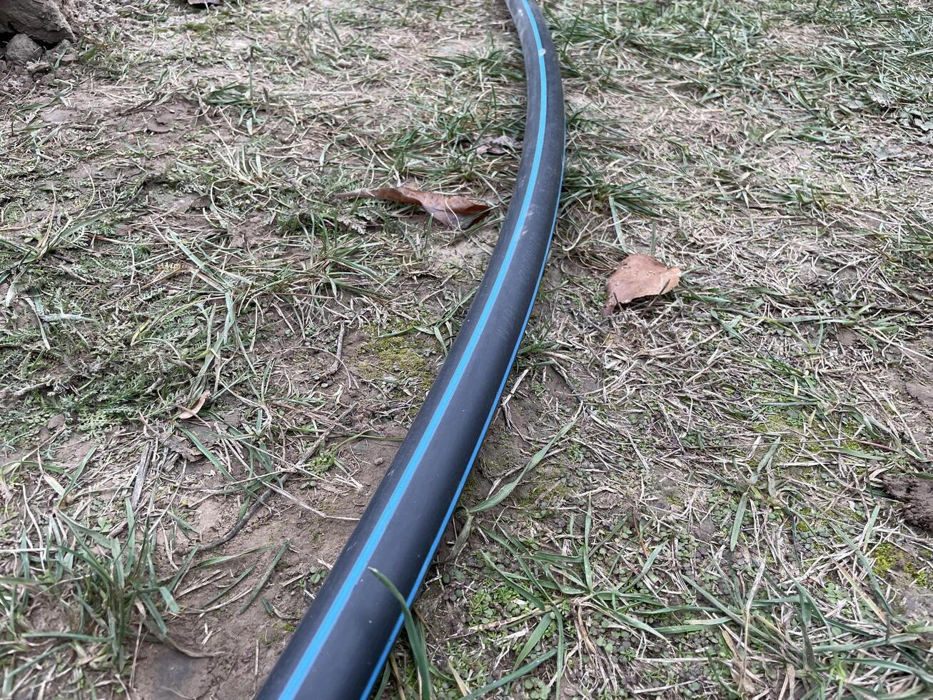 Garden hose laid out in vegetable garden rows photo