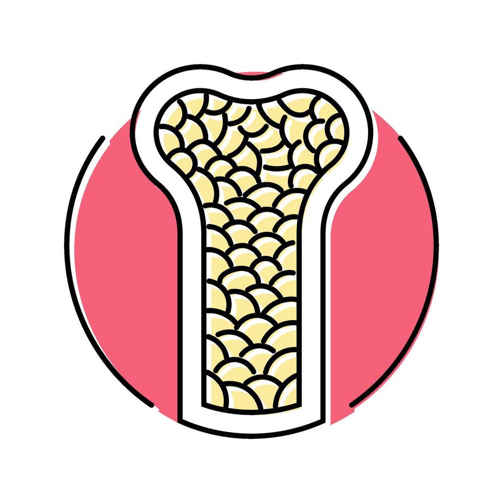 porous bone osteoporosis color icon illustration vector