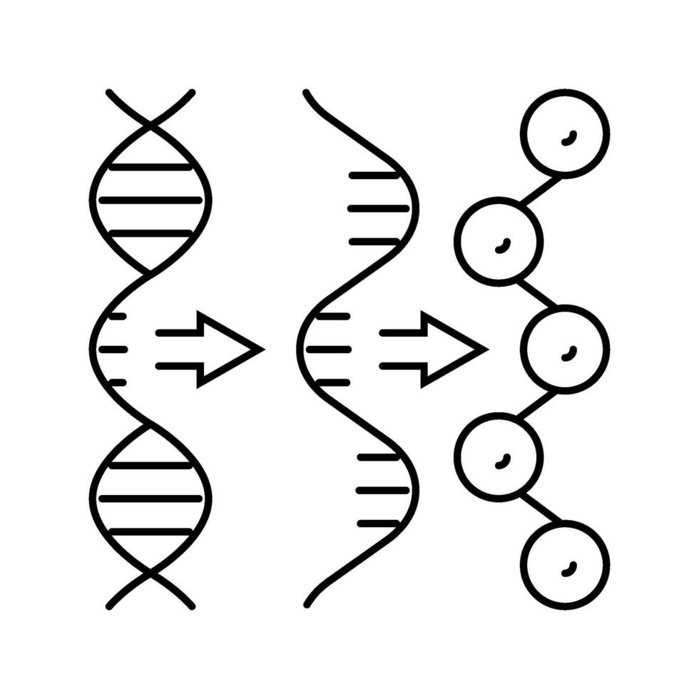 gene expression cryptogenetics line icon illustration vector