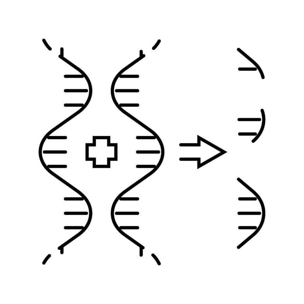 genetic diversity cryptogenetics line icon illustration vector