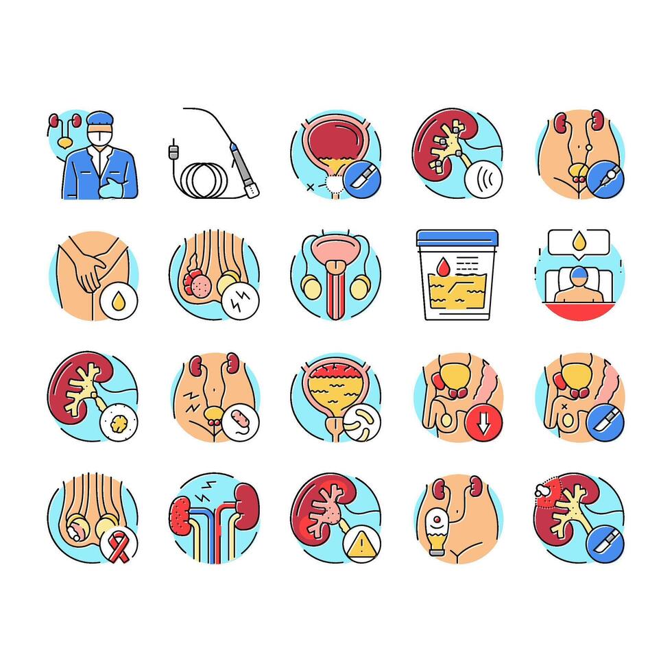 urology prostate urinary kidney icons set vector