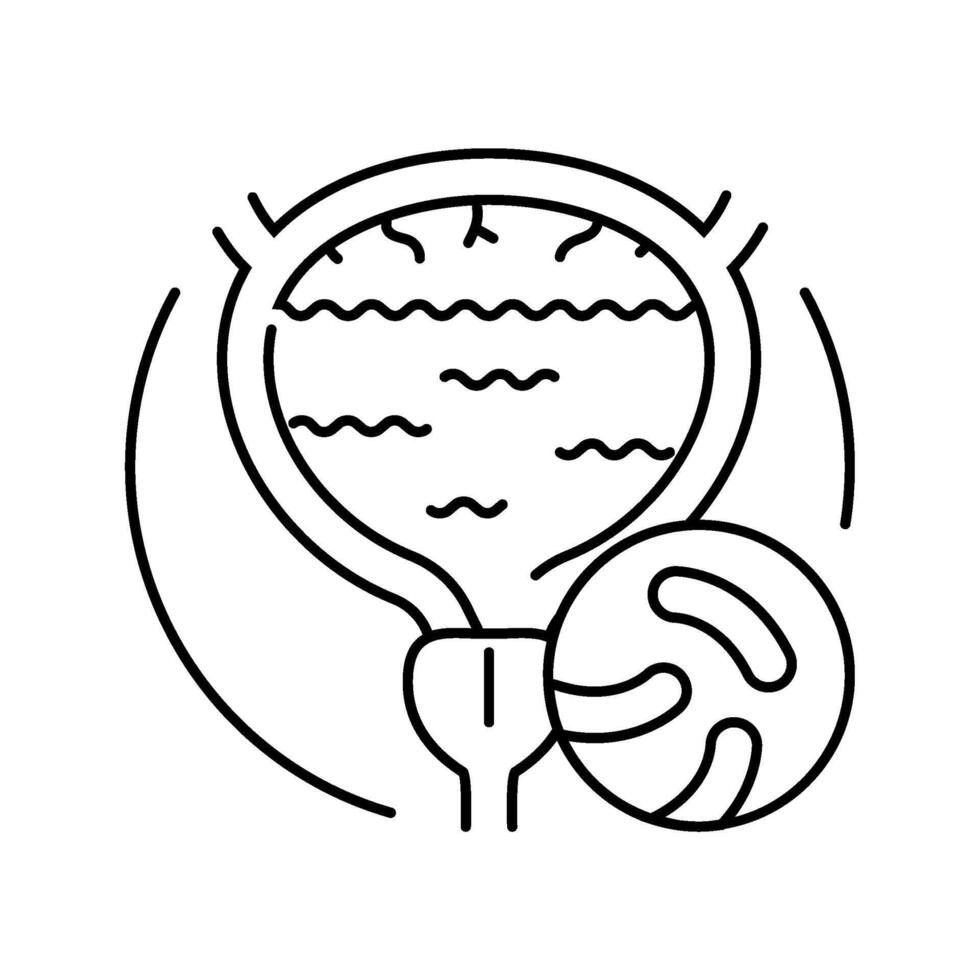 cystitis urology line icon illustration vector