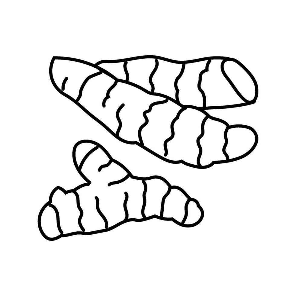 turmeric root ayurvedic herb line icon illustration vector