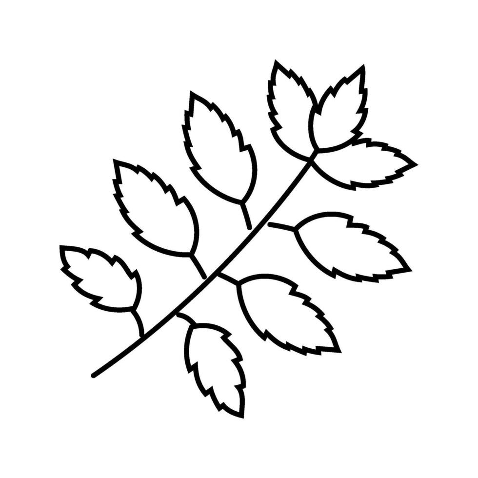 neem leaves ayurvedic herb line icon illustration vector