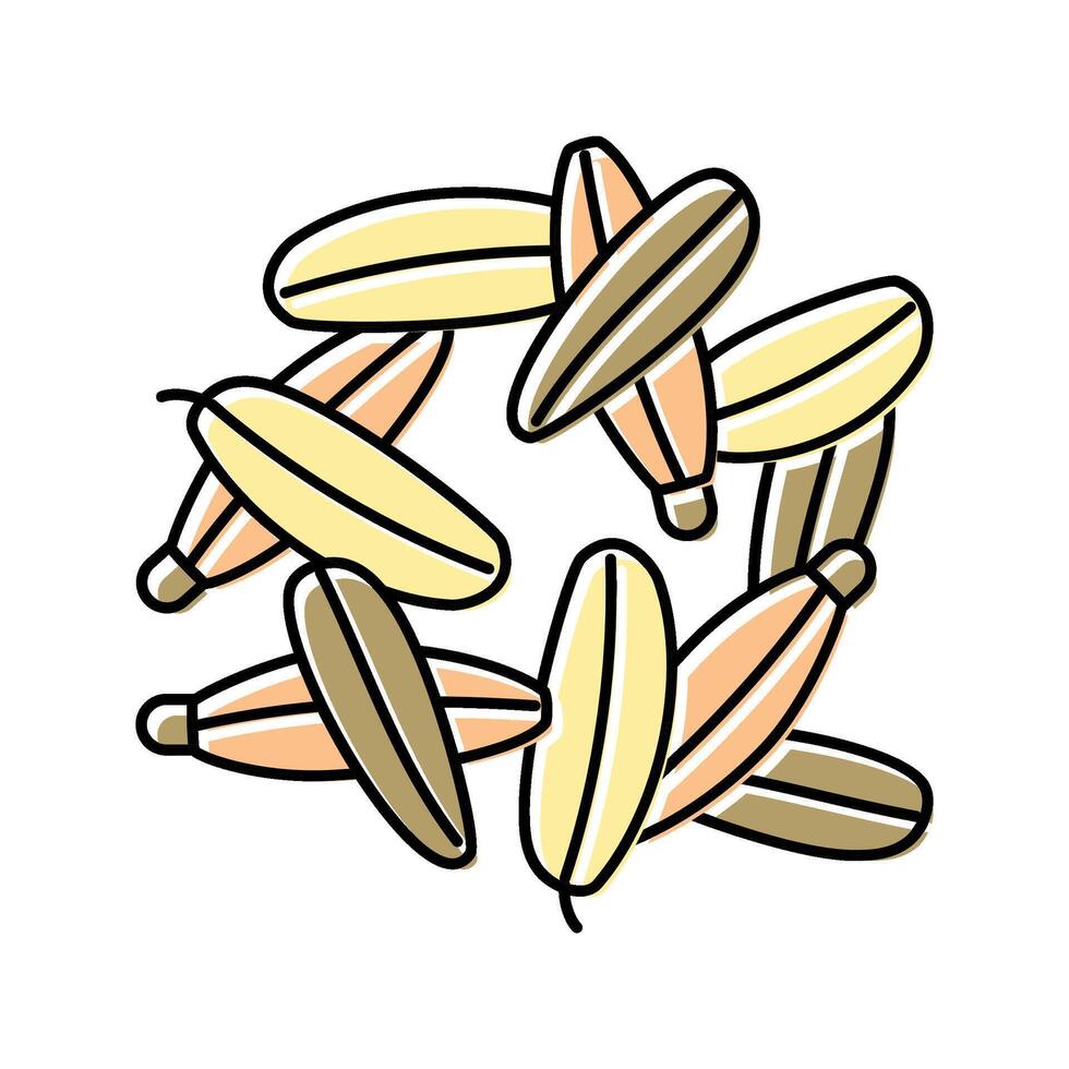 fennel seeds ayurvedic herb color icon illustration vector