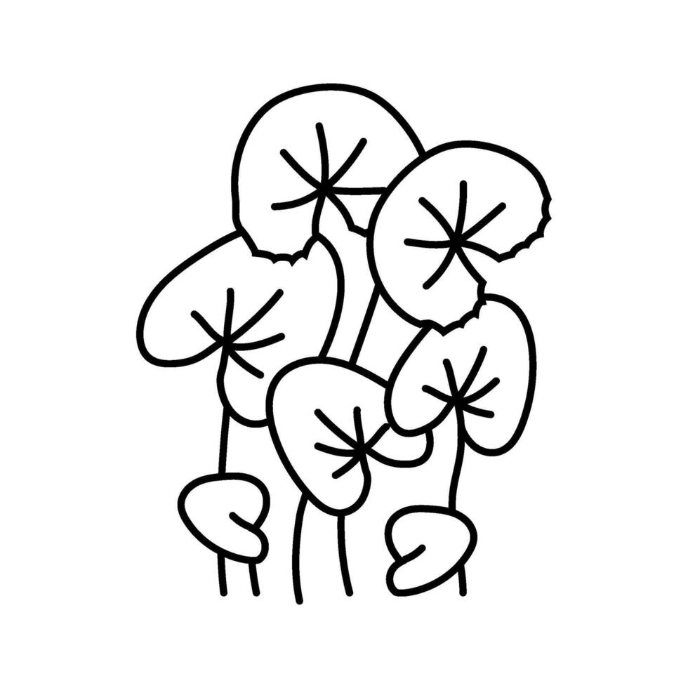 saffron threads ayurvedic herb line icon illustration vector