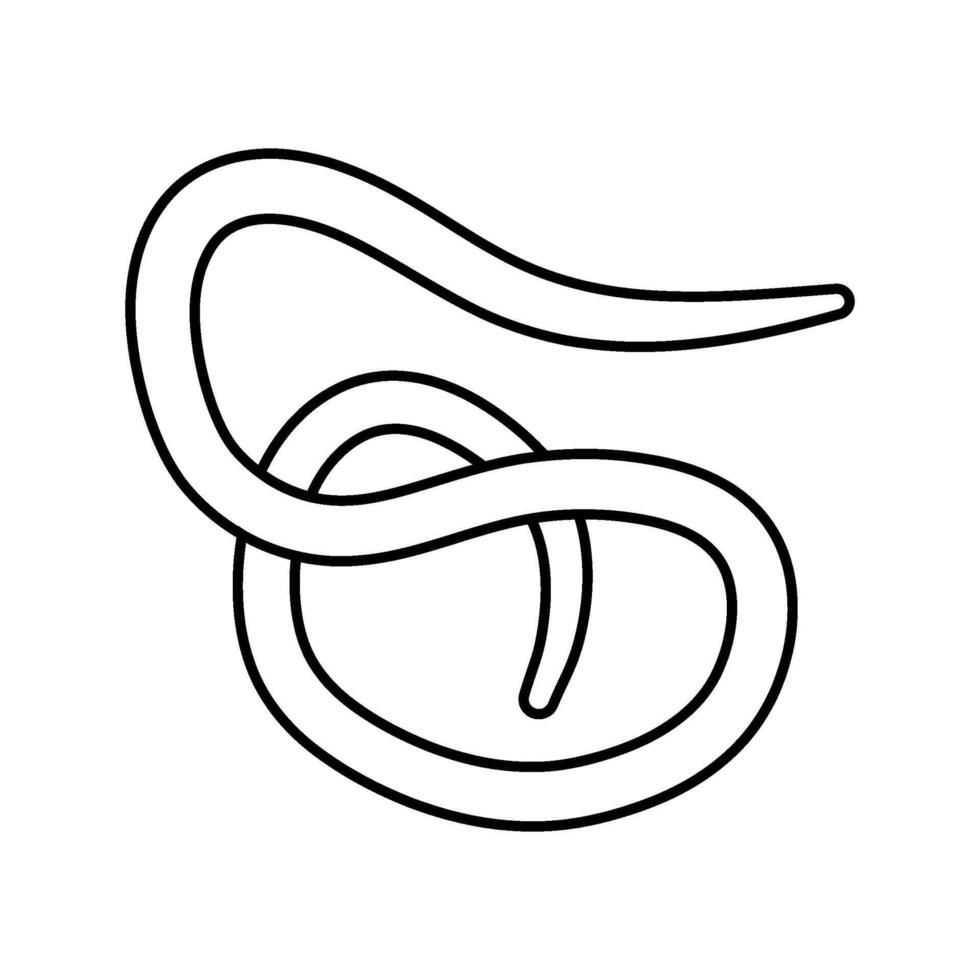 roundworm parasite line icon illustration vector