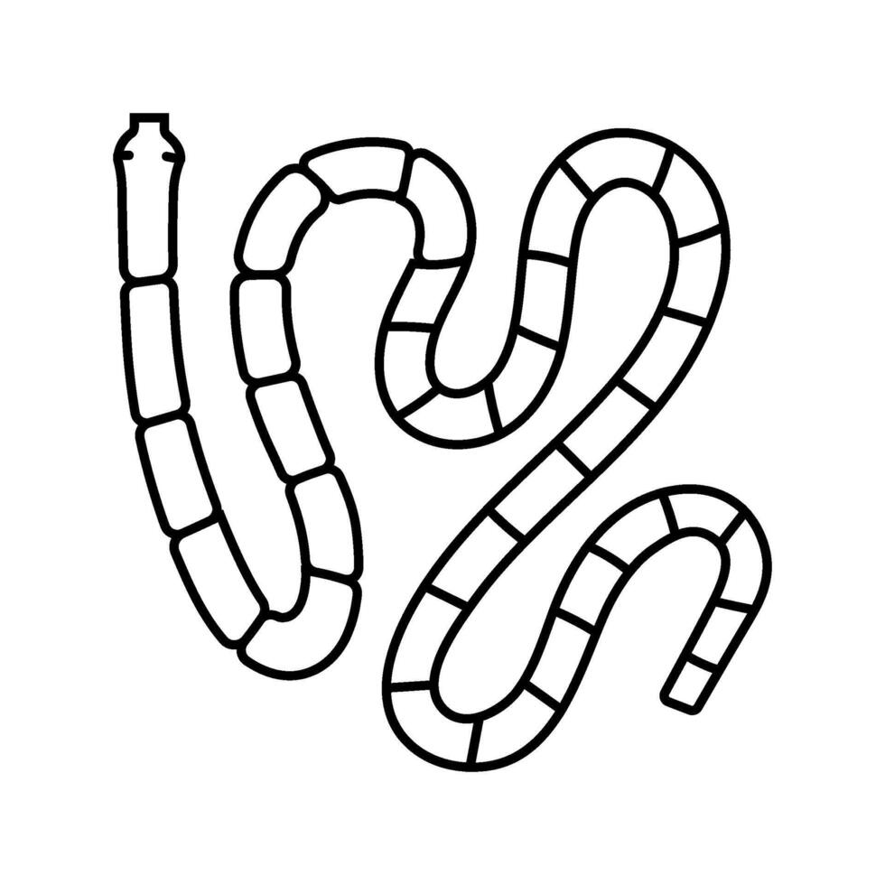 tapeworm parasite line icon illustration vector