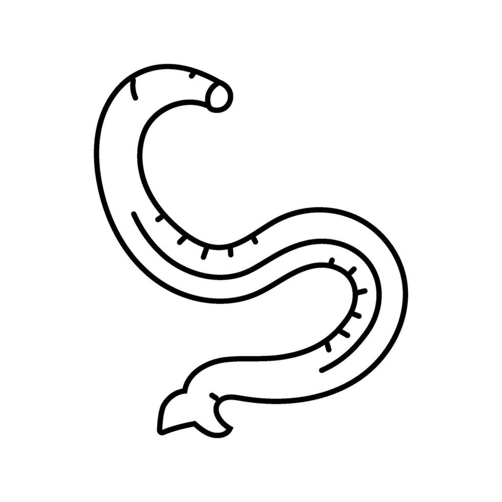 hookworm parasite line icon illustration vector