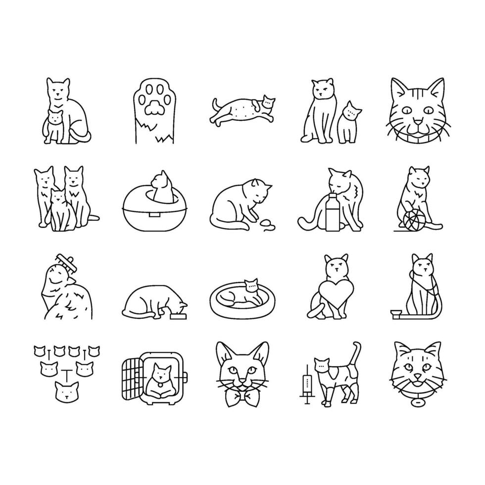 cat breeding genetics cattery icons set vector