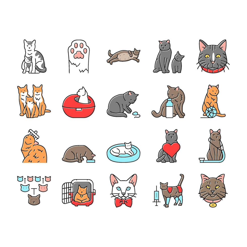 cat breeding genetics cattery icons set vector