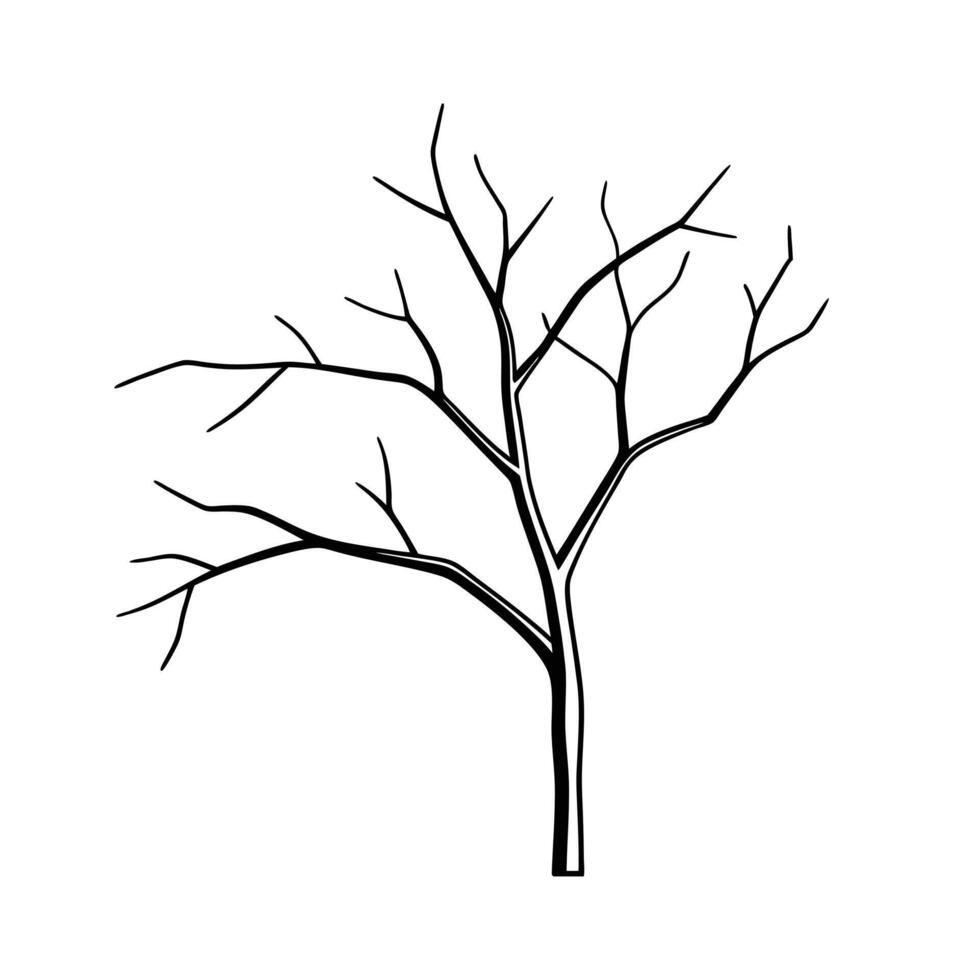 Dry Branches of Dead Tree - Stunning Stock Photos for Nature and Artistic Projects vector