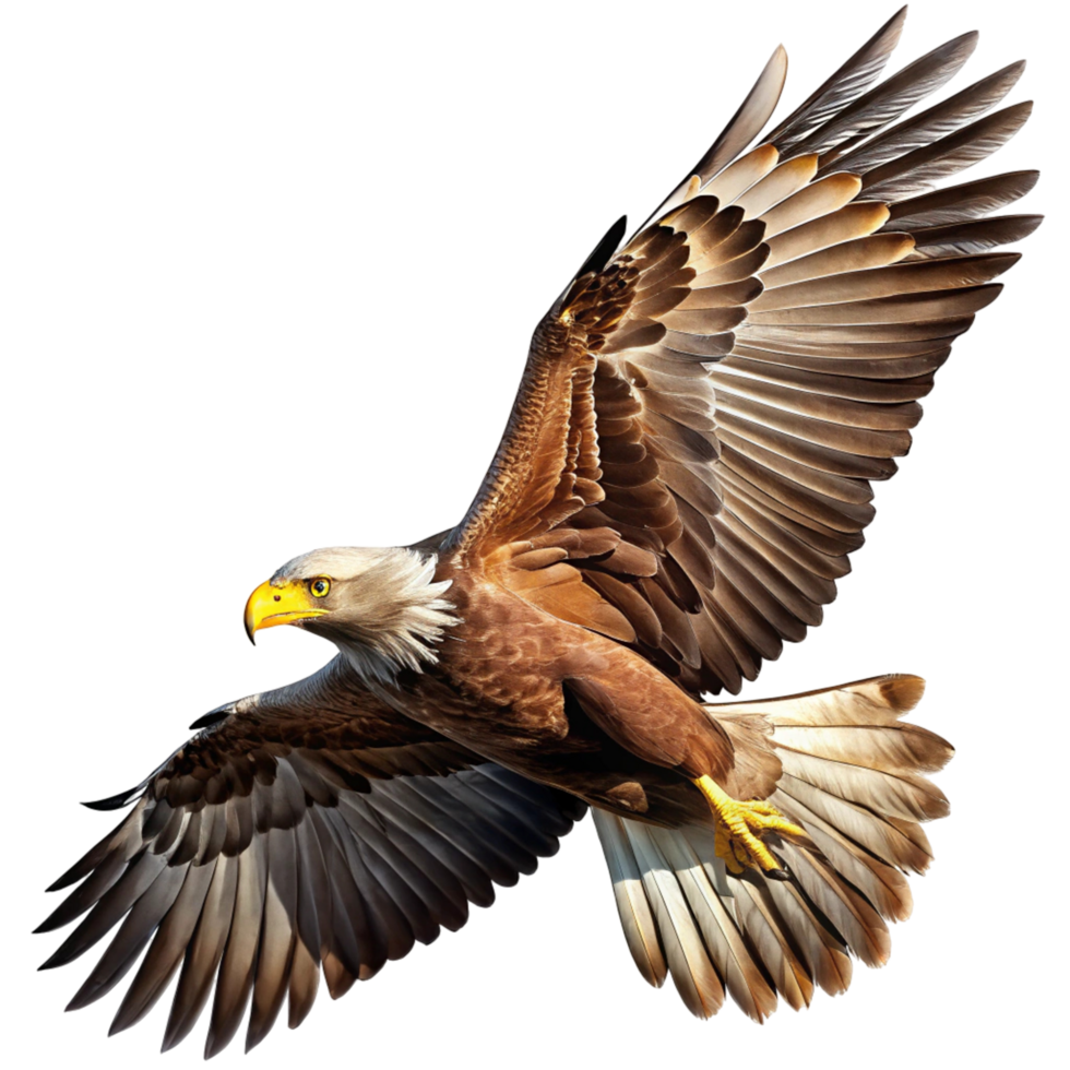 Majestic Eagle in Flight A Stunning Image for Wildlife Enthusiasts and Nature Lovers png