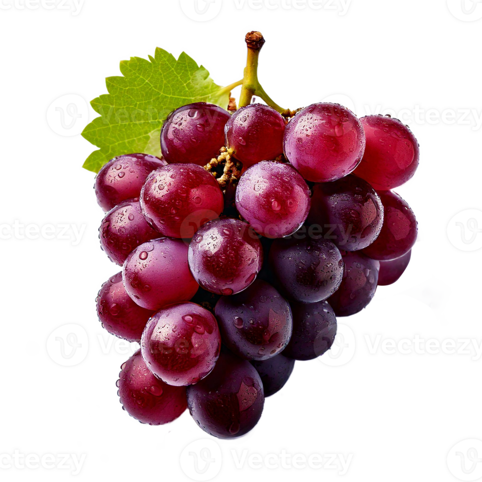 Fresh and H png