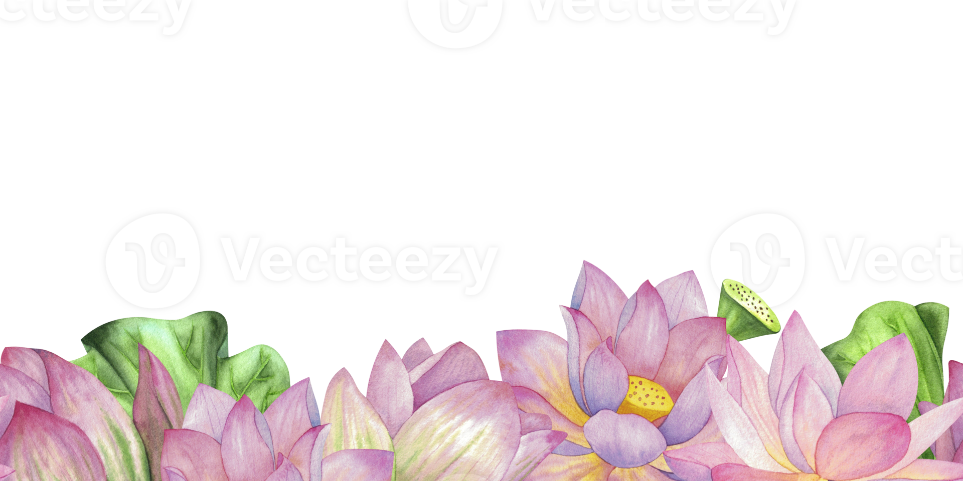 Pink lotuses, buds and leaves. Seamless pattern, border, banner. Watercolor illustration isolated on background. Blank For design, decor, typography and printing, printing, textiles png