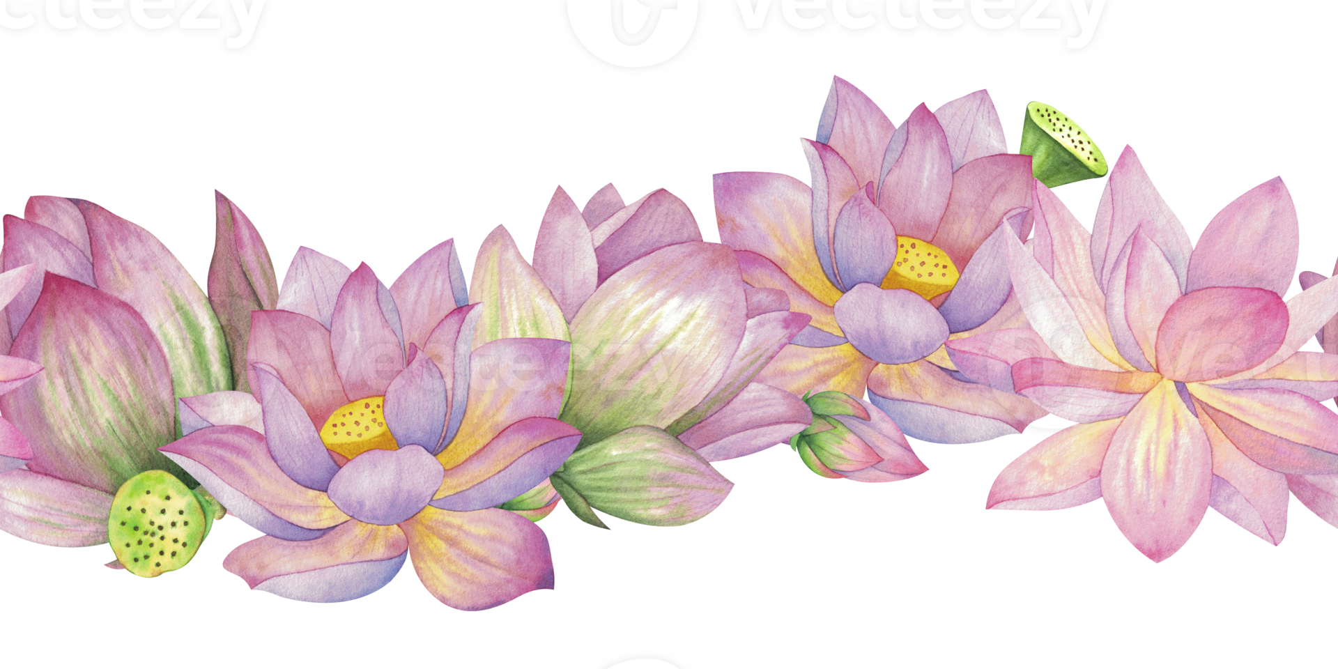 Pink lotuses, buds and boxes. Seamless pattern, border. Watercolor illustration isolated on background. For design, decor, typography, printing, textiles png